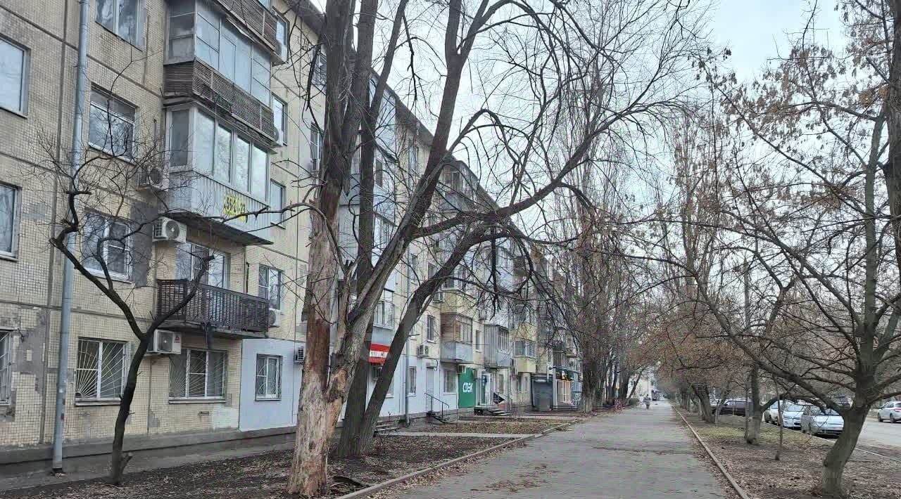 квартира г Ростов-на-Дону р-н Октябрьский ул Мечникова 152 фото 13