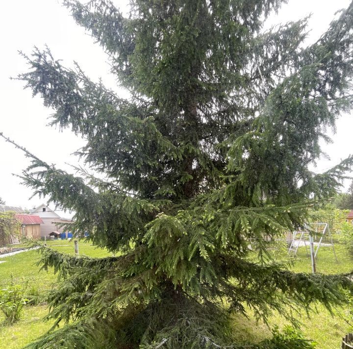 дом г Клин снт Дружба 33 фото 29