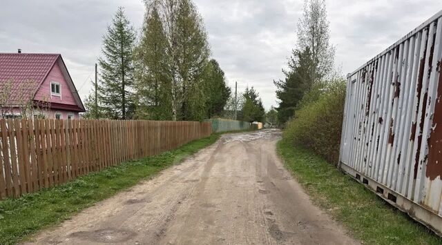 р-н Холмогорский д Соснино 53 фото