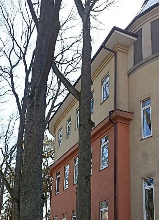офис р-н Светлогорский г Светлогорск ул Гагарина 9б фото 1