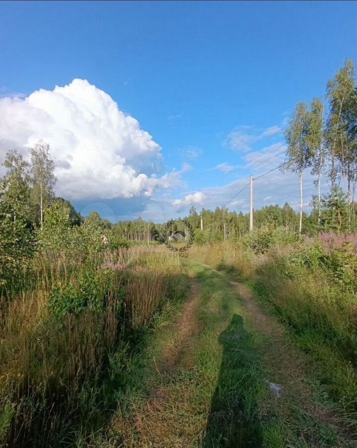 земля г Калуга д Аргуново фото 7