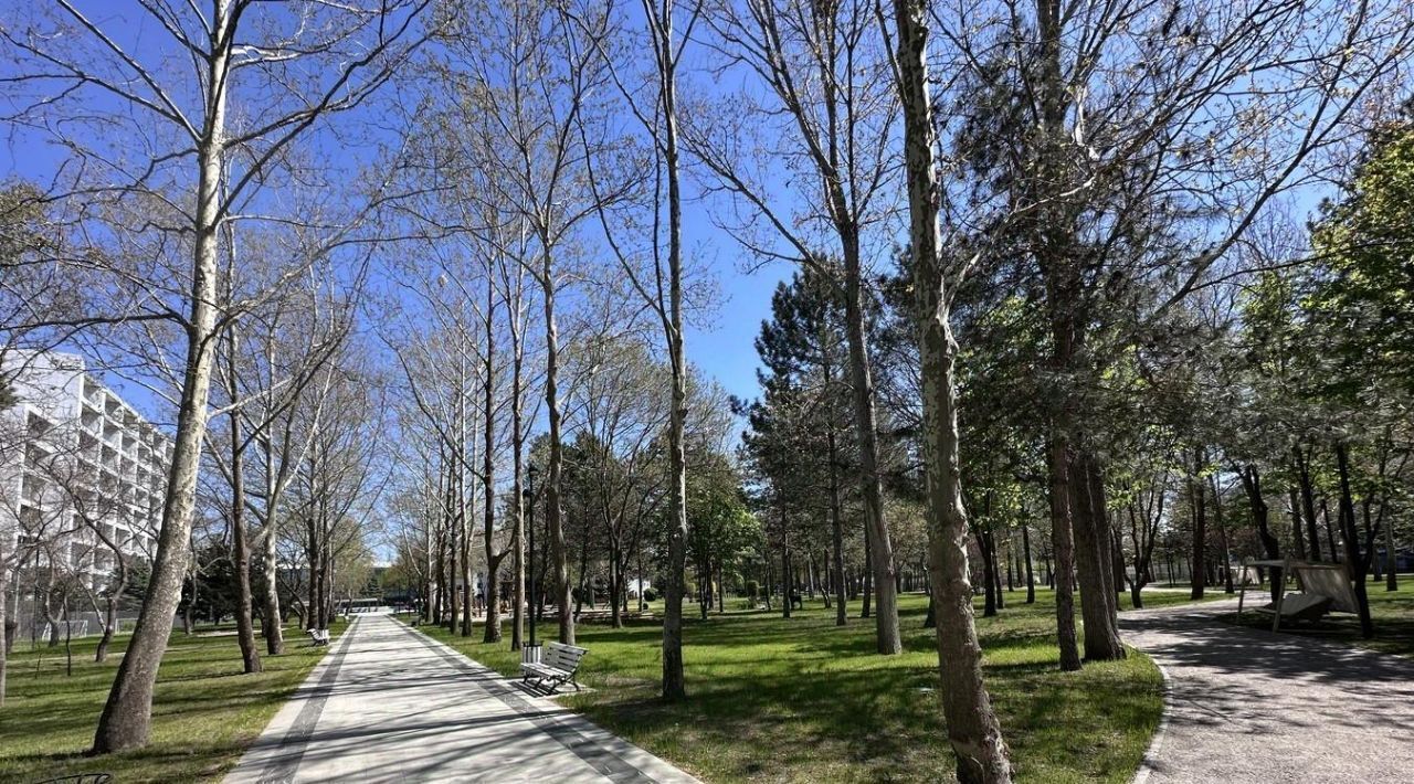 квартира р-н Анапский г Анапа пр-кт Пионерский 20 фото 23