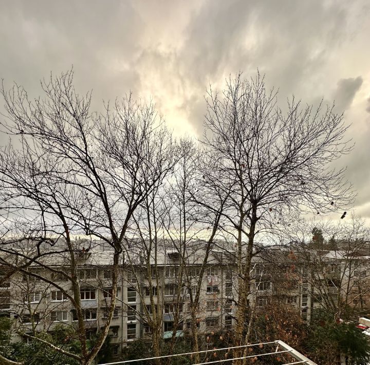 квартира г Сочи р-н Центральный ул Донская пер Донской 3 фото 47