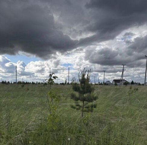 ул Школьная 116 фото