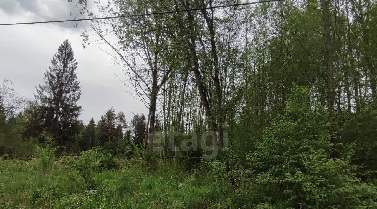 земля г Череповец р-н Зашекснинский пер 3-й Кемеровский фото 4