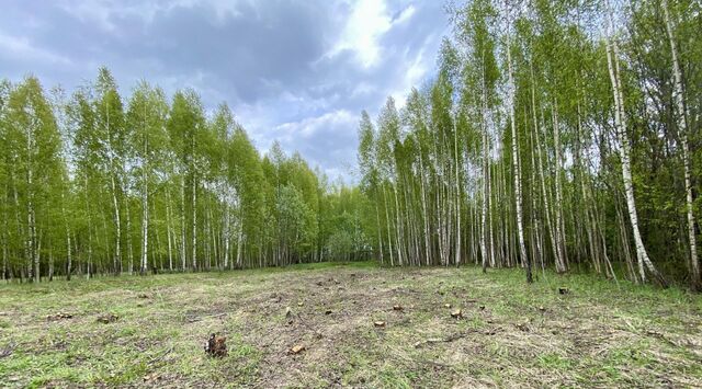 Переславль-Залесский муниципальный округ фото