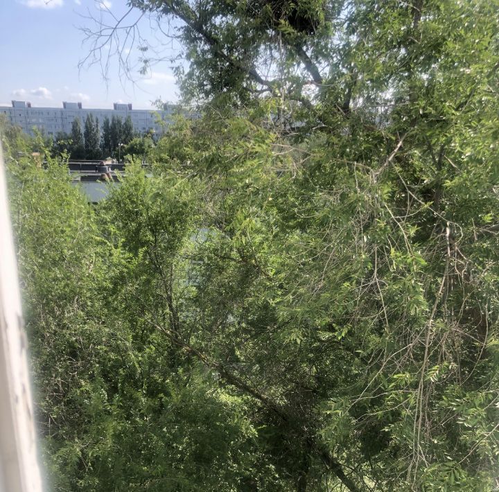 квартира г Тольятти р-н Автозаводский б-р Орджоникидзе 7 5-й кв-л фото 14