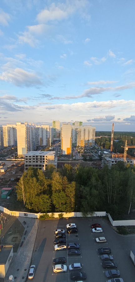 квартира г Воронеж р-н Коминтерновский пр-кт Московский 179/6 фото 17