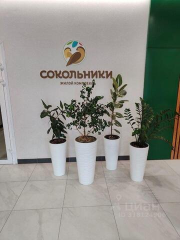 ул Ошанина 3 ЖК «Сокольники» фото