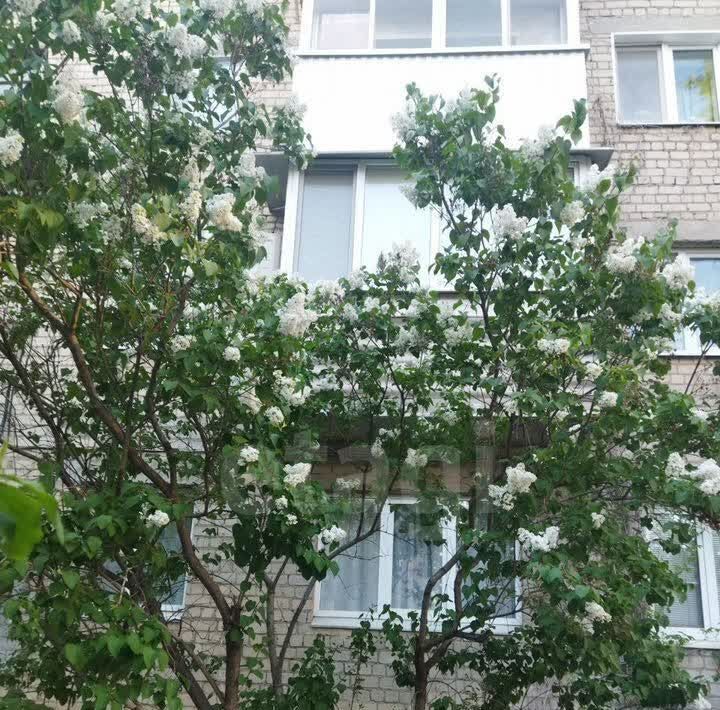 квартира г Белгород Восточный б-р Народный 43 Восточный округ фото 4