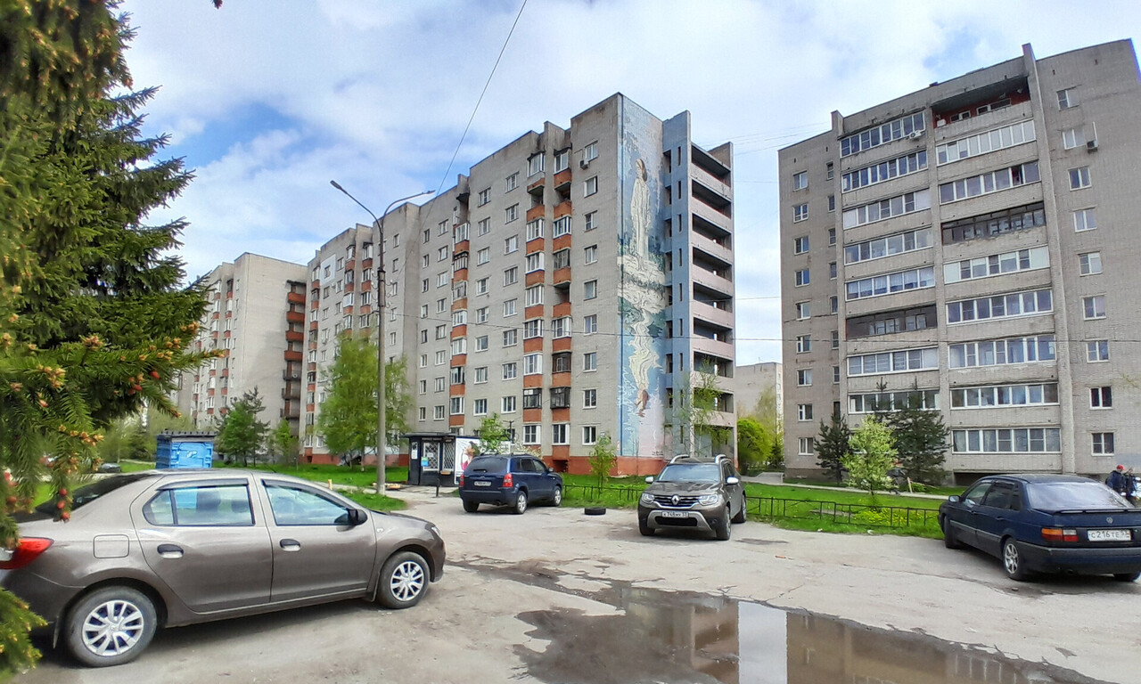 квартира г Великий Новгород Колмово ул Большая Санкт-Петербургская 116 м-н фото 10