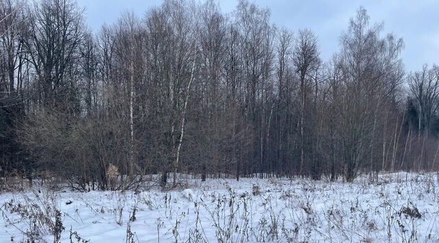 д Всходы 1 фото