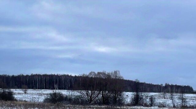 д Рыжиково 5 фото