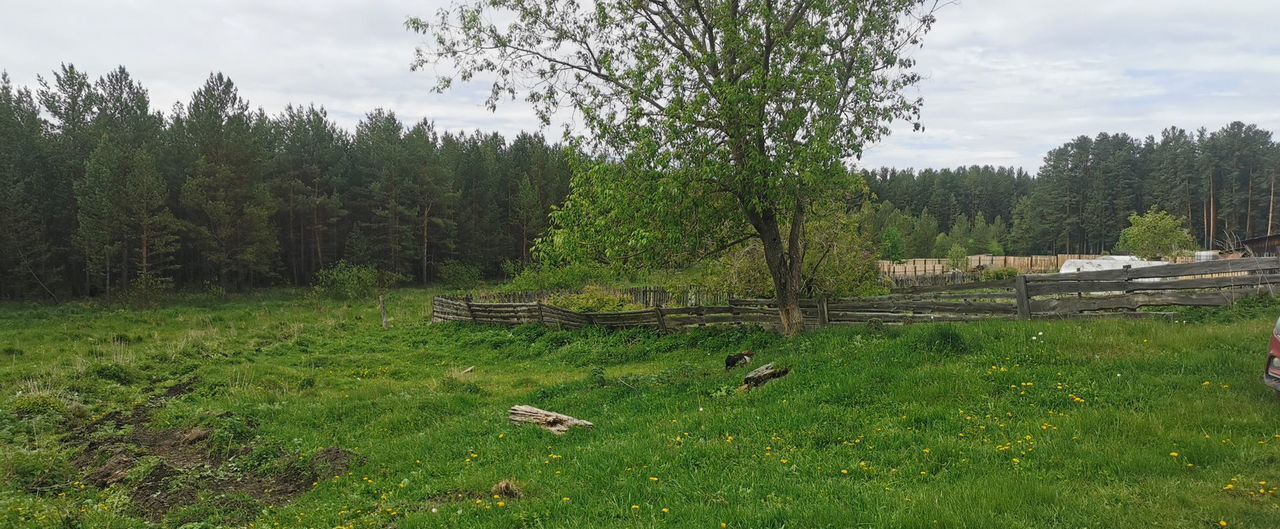 земля г Верхний Уфалей п Чусовской Верхнеуфалейский г. о. фото 16
