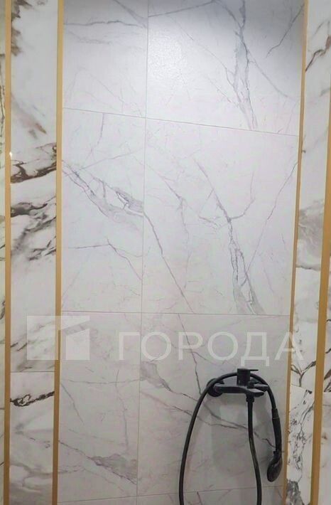 квартира г Новосибирск Золотая Нива ул Татьяны Снежиной 46 фото 10
