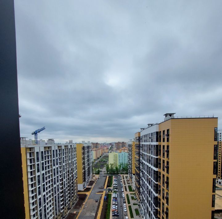квартира г Воронеж р-н Центральный ул Загоровского 13к/1 ЖК «‎Яблоневые Сады» фото 11