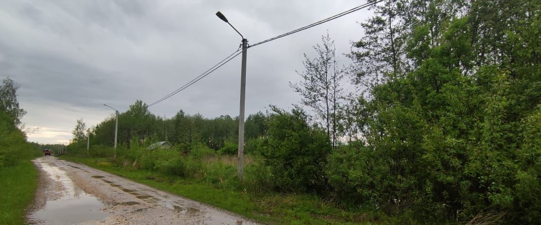 земля г Шатура г Рошаль ул Лесная фото 1