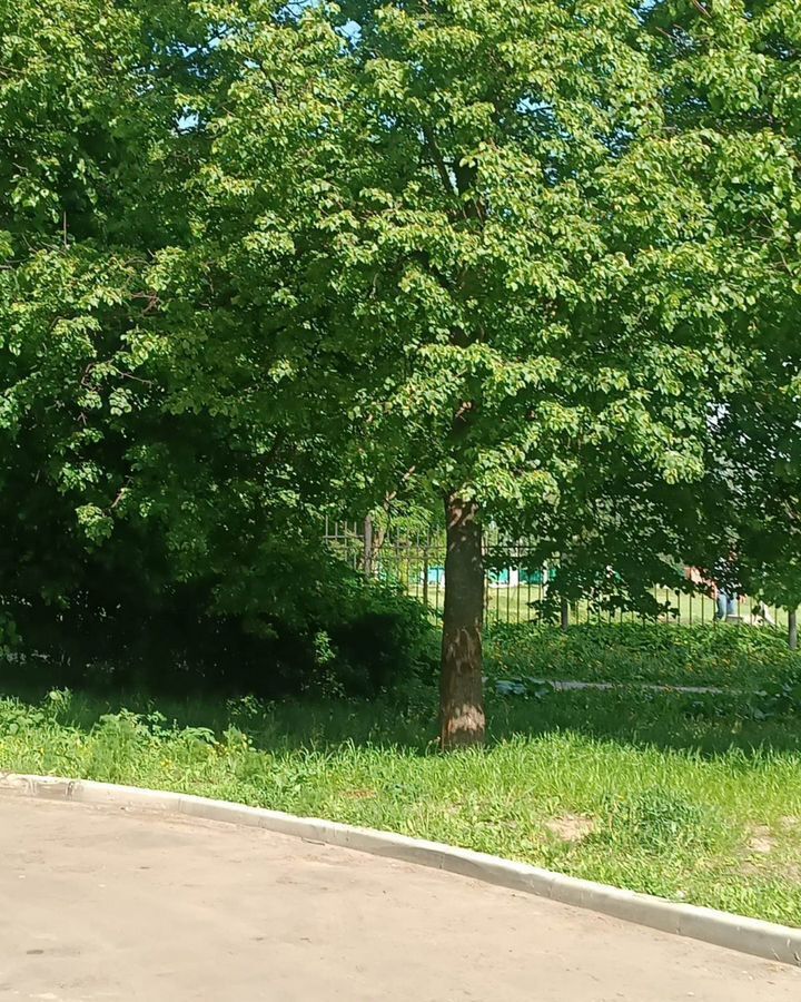 квартира г Москва метро Новоясеневская пр-кт Новоясеневский 40к/3 муниципальный округ Ясенево фото 18