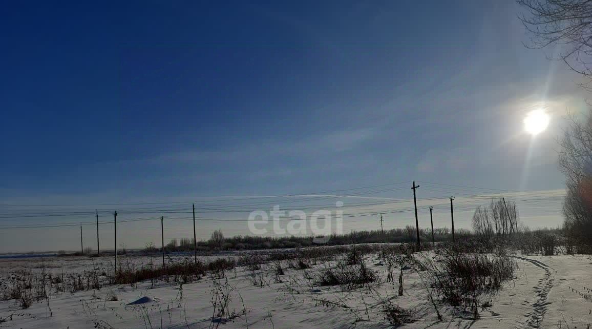земля р-н Еманжелинский г Еманжелинск п Борисовка ул Нижняя фото 12