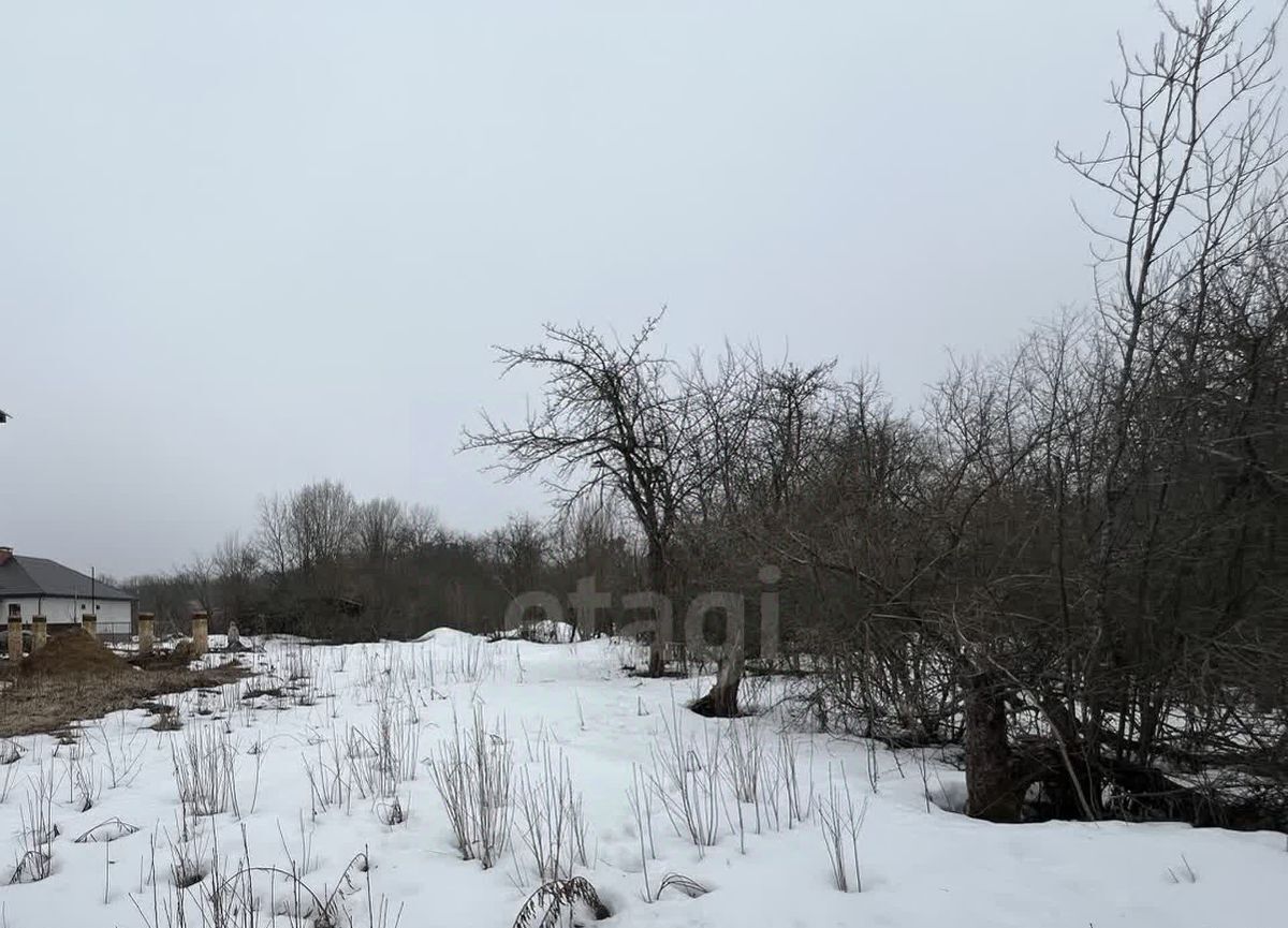 земля г Саранск р-н Ленинский снт Зеленый Друг фото 4