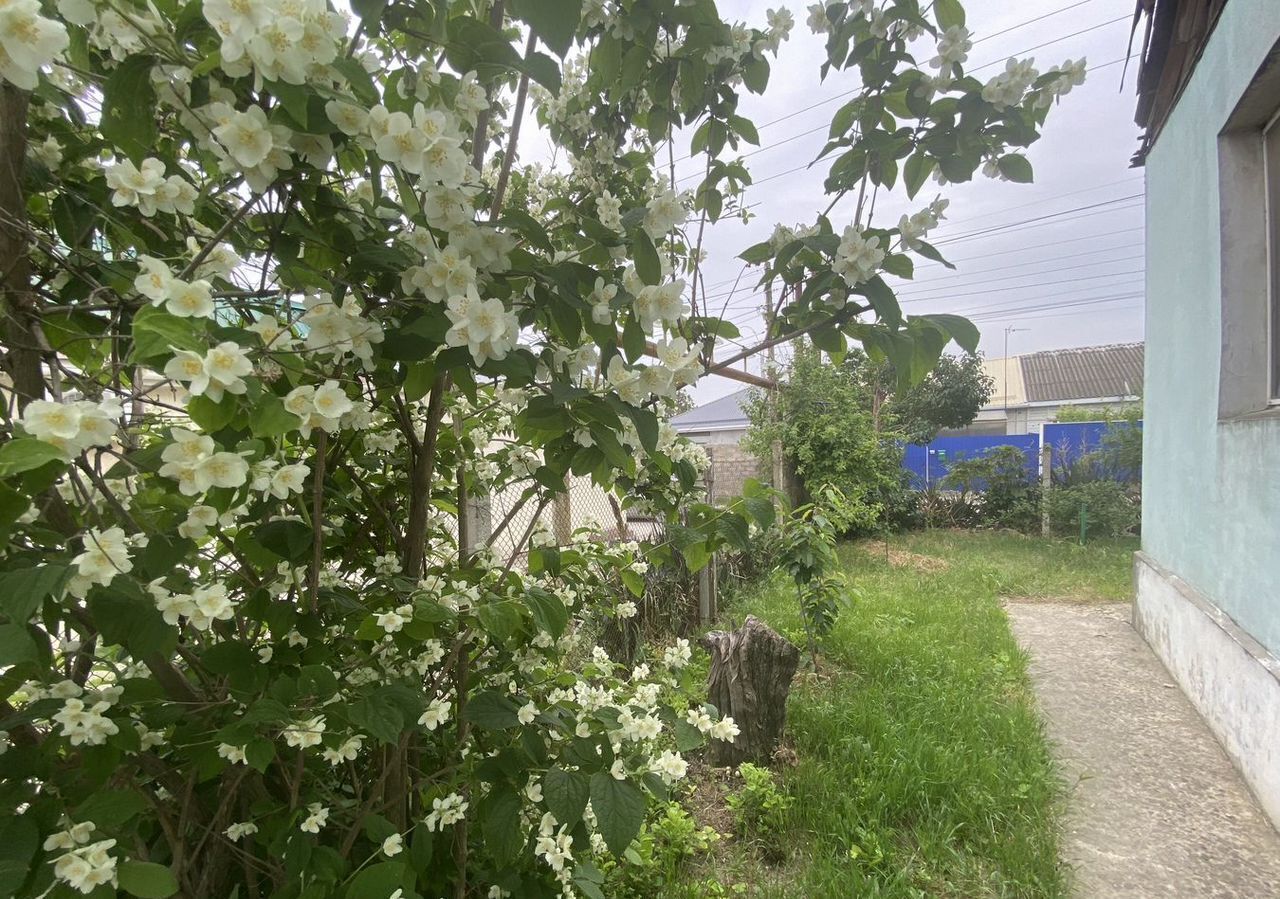 дом р-н Анапский г Анапа ул Пушкина Супсех фото 3