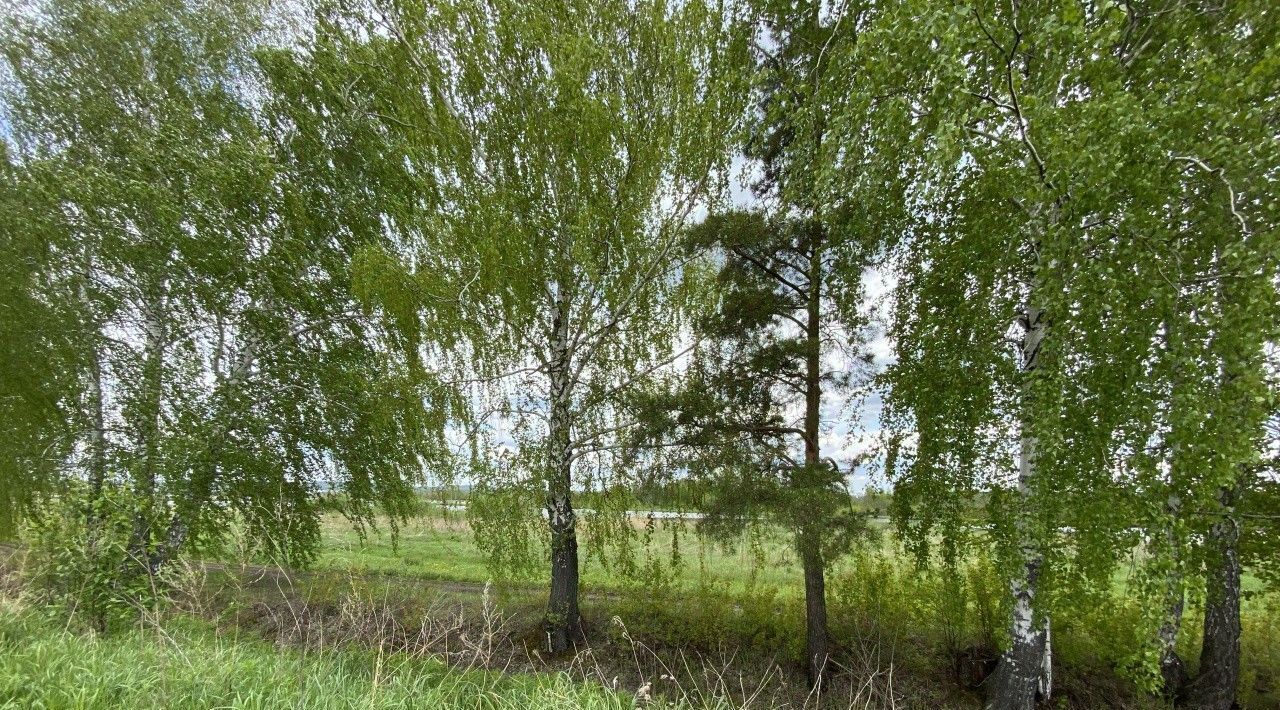 дом г Екатеринбург Чкаловская Грибная Горка кп фото 4