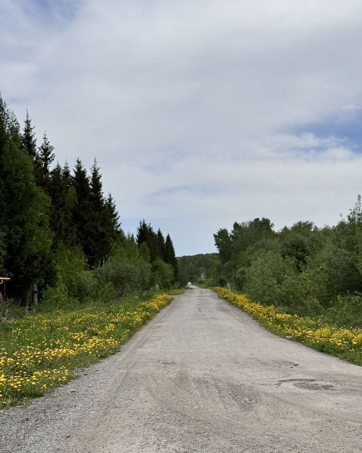 земля г Новосибирск р-н Дзержинский ул Аллейная Гусинобродское шоссе фото 5