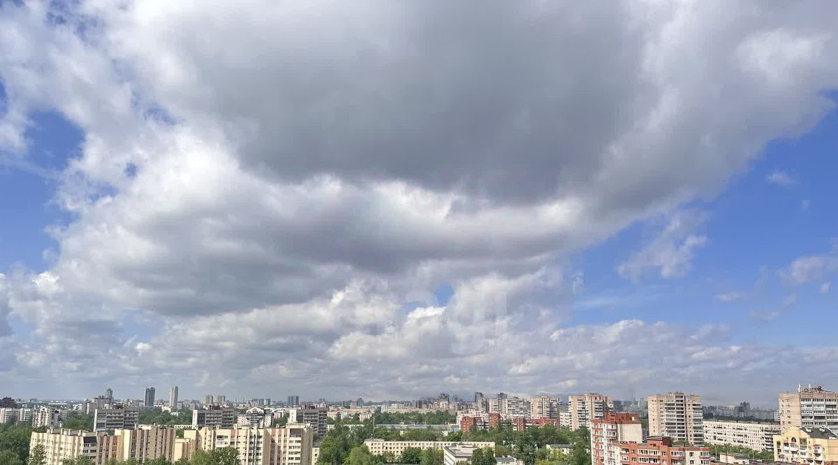 квартира г Санкт-Петербург метро Ленинский Проспект пр-кт Народного Ополчения 10 округ Княжево фото 24