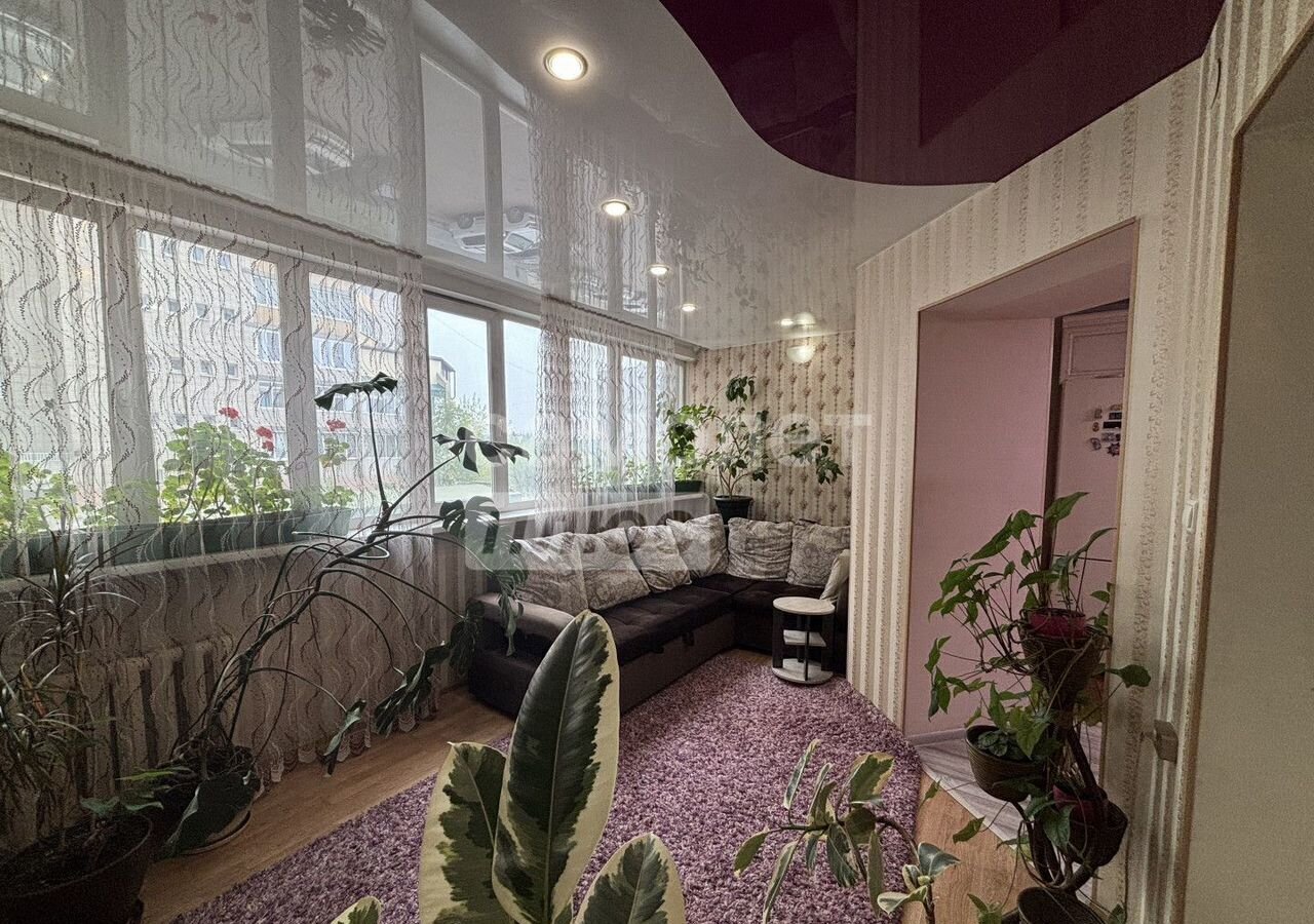 квартира г Чита р-н Центральный ул Подгорбунского 57 фото 7