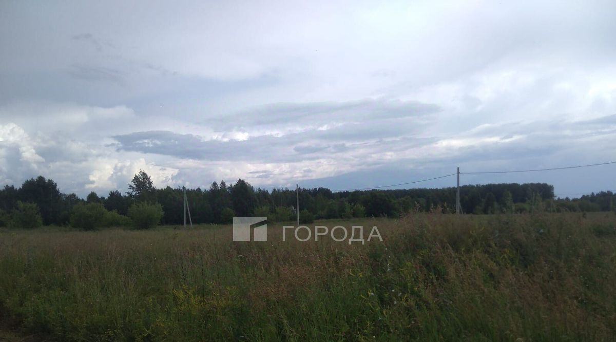 земля г Барнаул п Черницк ул Центральная 21 фото 3
