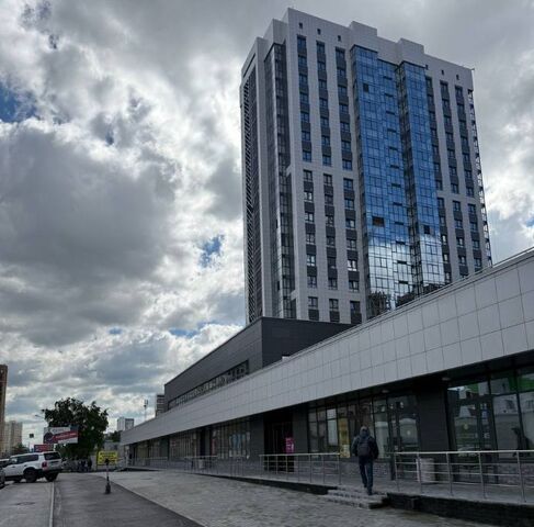 р-н Центральный Гагаринская ул Писарева 44 фото