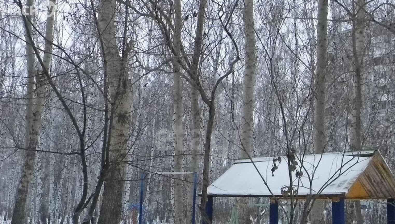 квартира г Омск ул Ватутина 11а 1-й м-н фото 4