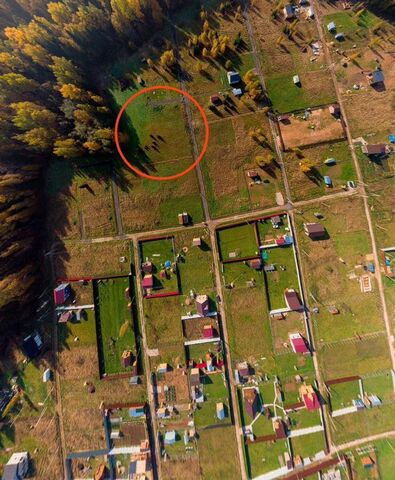д Ногово снт Лесная опушка 58 км, 3-я линия, 11, Клин, Рогачёвское шоссе фото