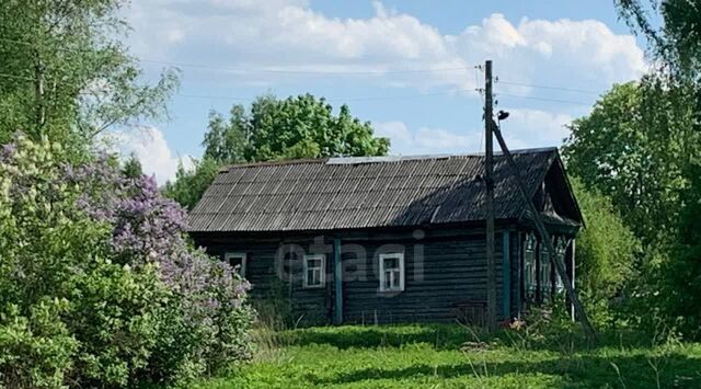 д Козлово Покровский сельский округ, Борисоглебский муниципальный округ фото