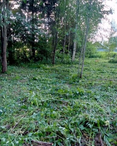 10 км, Видное, Новокаширское шоссе фото
