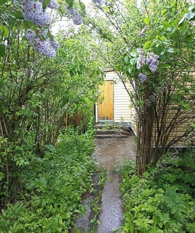 г Истра СНТ Кореньки фото