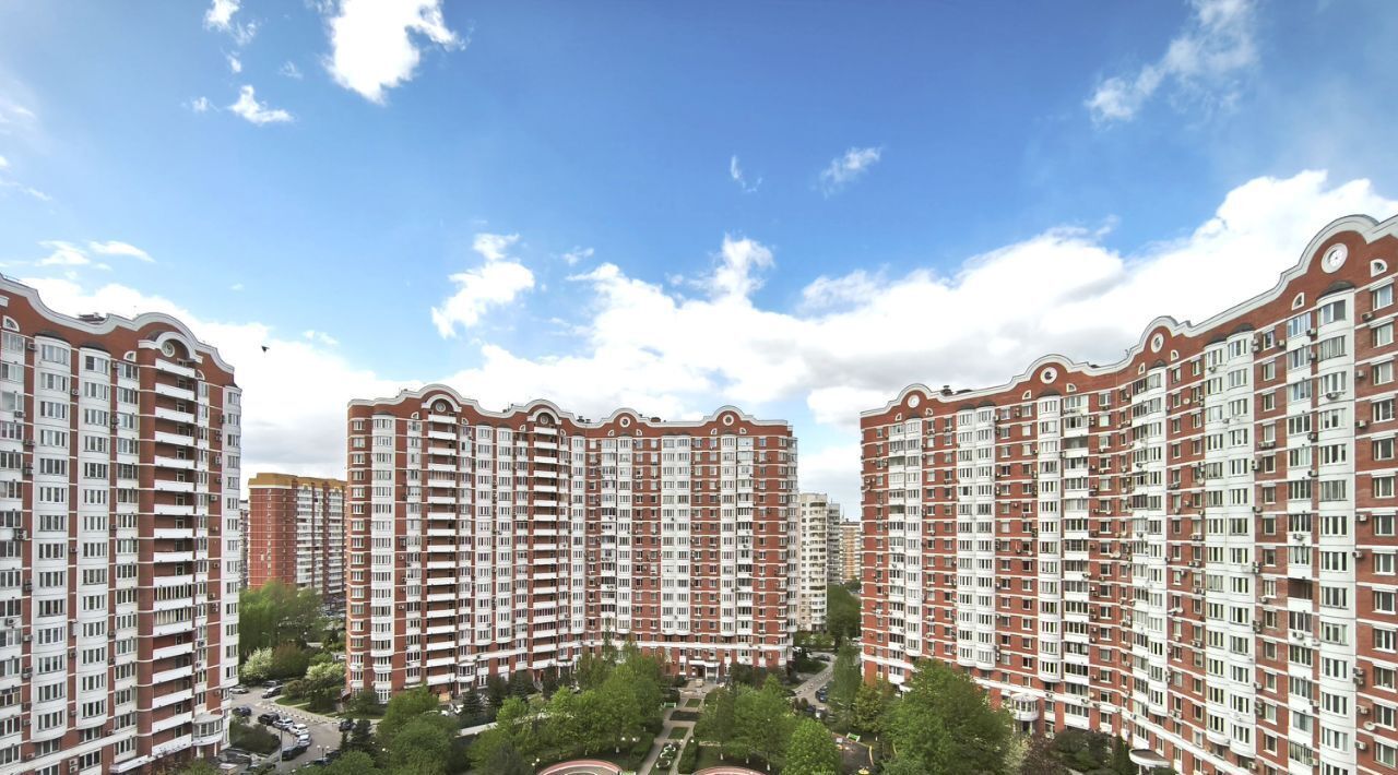 квартира г Москва метро Ломоносовский проспект пр-кт Мичуринский 11к/1 муниципальный округ Раменки фото 30