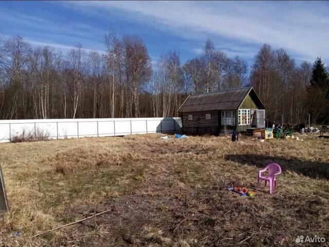 земля п Приладожский Мгинское городское поселение, СНТ Заречное, 1-я линия фото
