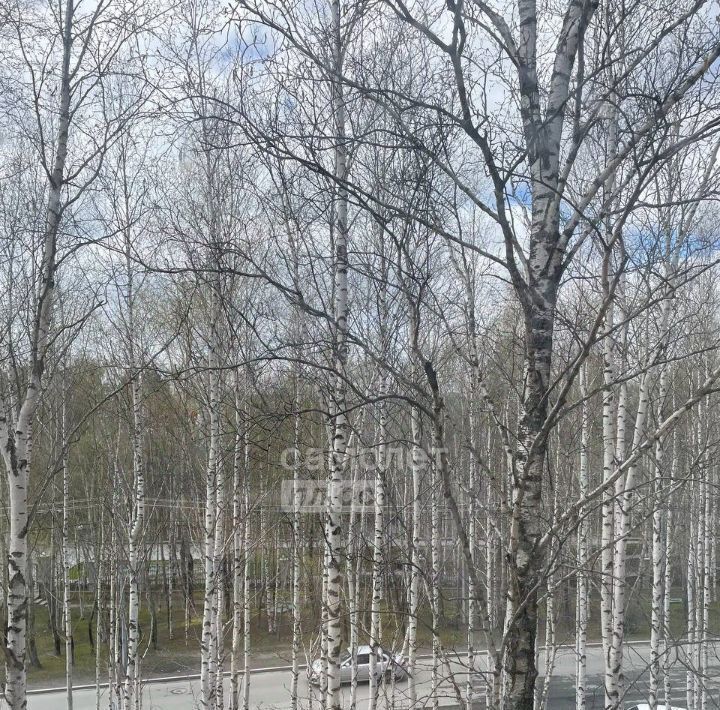 квартира г Сургут пр-кт Набережный 46 2-й фото 12