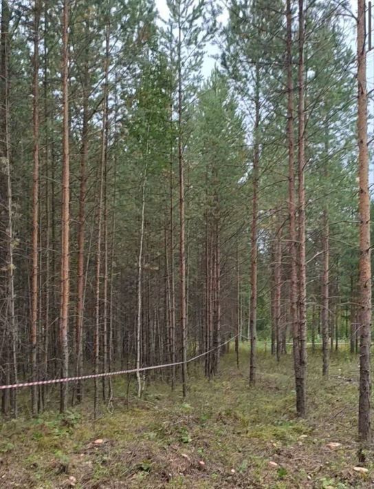 земля г Первоуральск Кооператор садовые участки фото 14