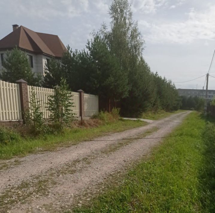 земля г Воскресенск Виноградная Лоза кп, ул. Земляничная фото 3