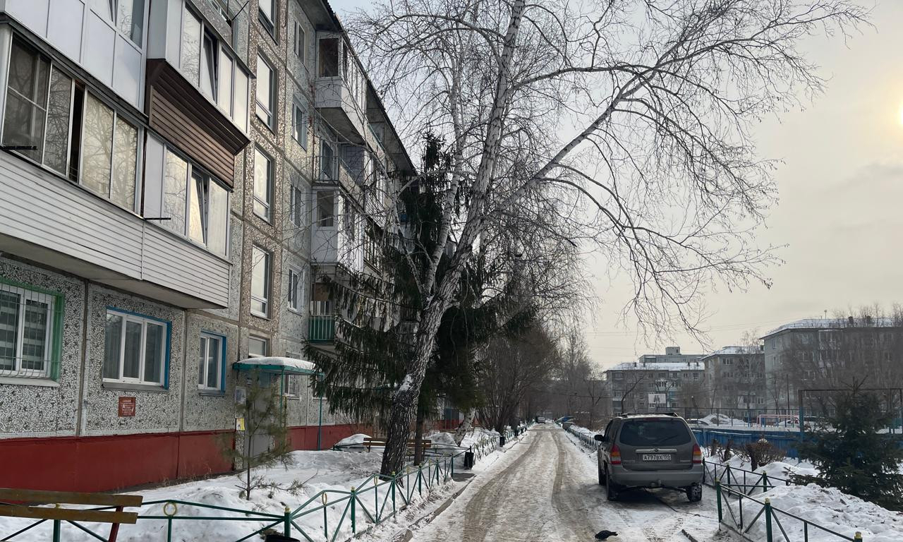 квартира г Омск пр-кт Сибирский 8 Московка 2 фото 3