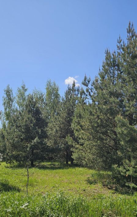 земля г Воскресенск Виноградная Лоза кп, ул. Земляничная фото 5
