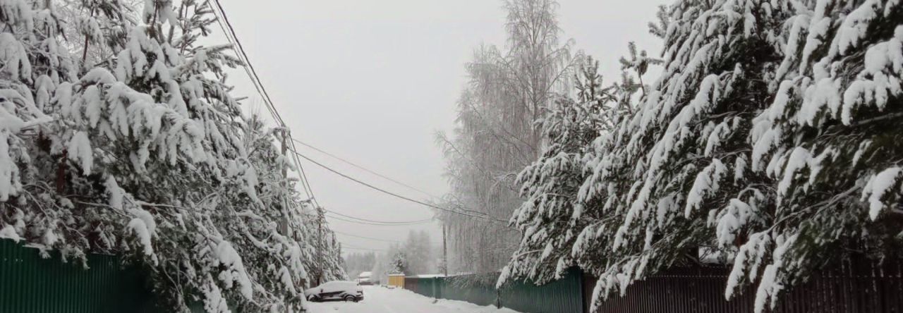 земля г Воскресенск Виноградная Лоза кп, ул. Земляничная фото 8