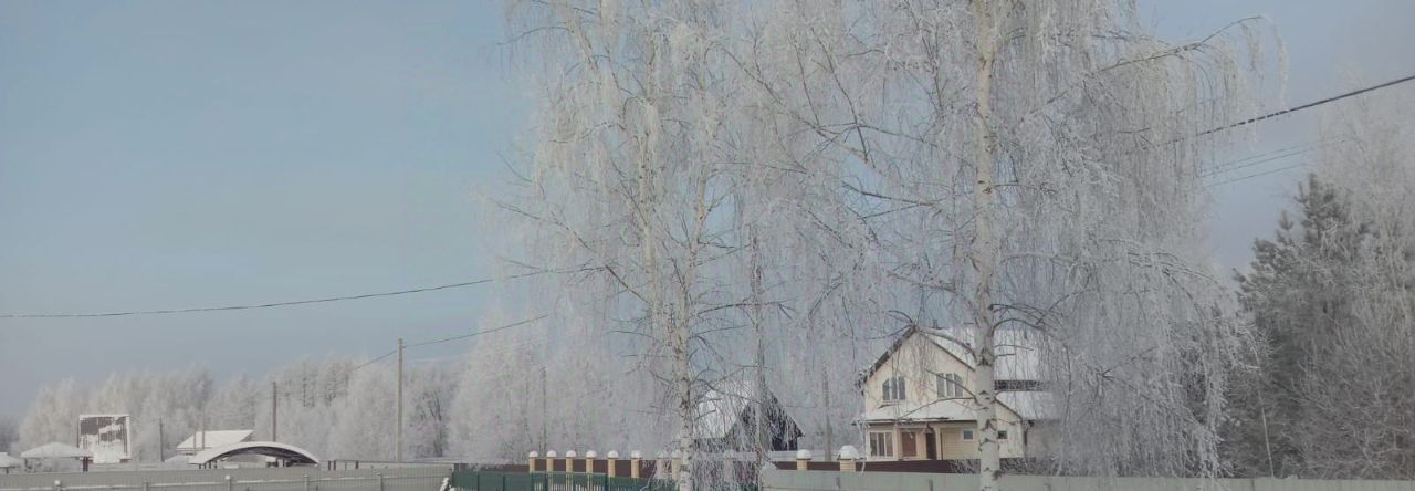 земля г Воскресенск Виноградная Лоза кп, ул. Земляничная фото 11