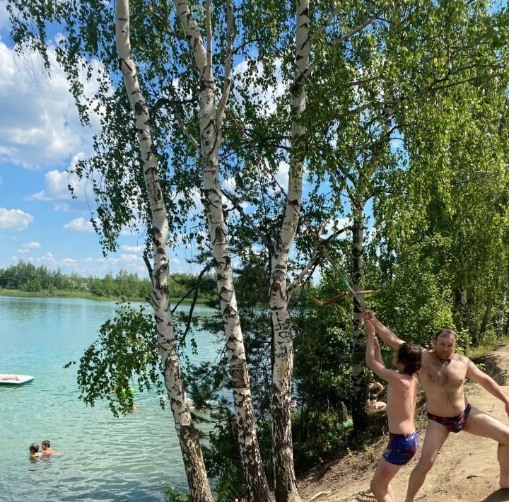 земля г Воскресенск Виноградная Лоза кп, ул. Земляничная фото 15