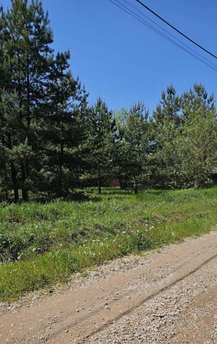 земля г Воскресенск Виноградная Лоза кп, ул. Земляничная фото 21