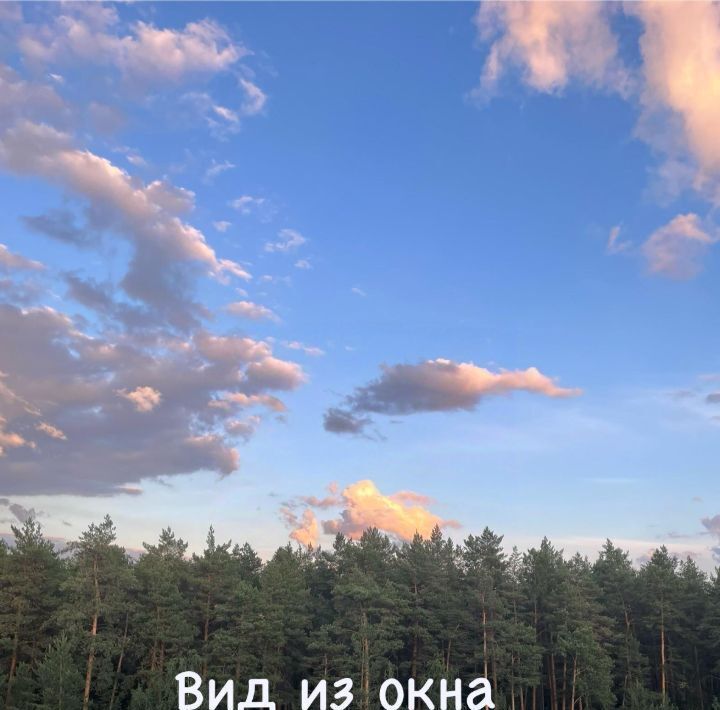 квартира г Пермь р-н Кировский ул Маршала Рыбалко 117 фото 10