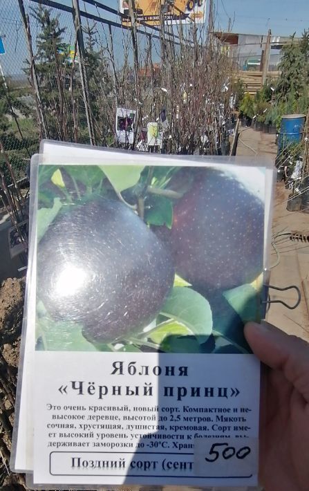 земля г Аткарск снт Сигнал фото 13