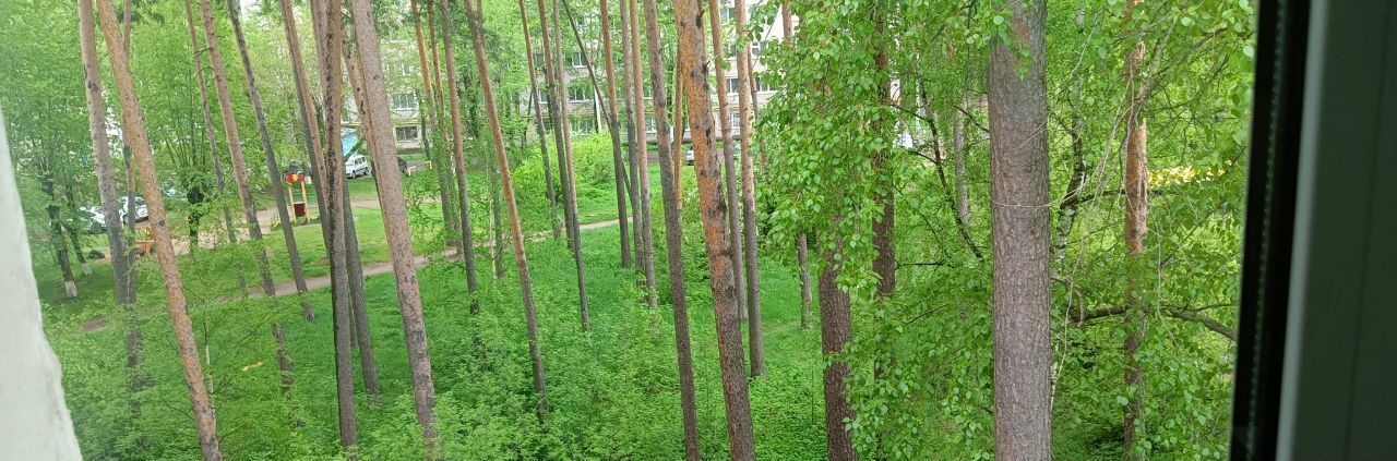 квартира г Пермь р-н Кировский ул Маршала Рыбалко 97 фото 17